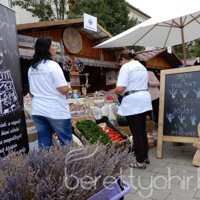 Helyi Értékek Startja 47